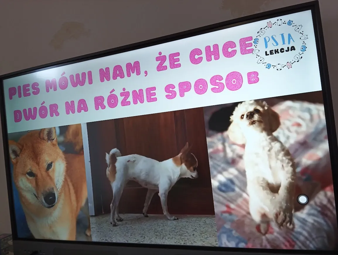 Psia Lekcja