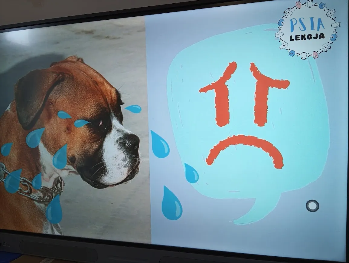 Psia Lekcja
